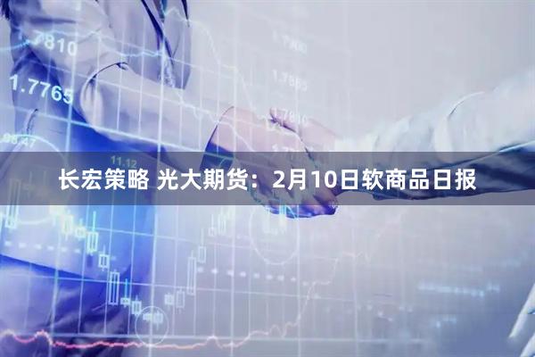 长宏策略 光大期货：2月10日软商品日报