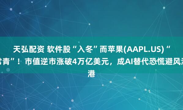 天弘配资 软件股“入冬”而苹果(AAPL.US)“常青”！市值逆市涨破4万亿美元，成AI替代恐慌避风港