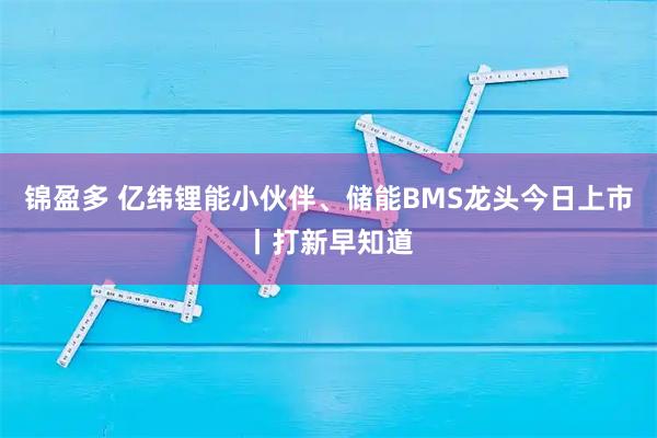 锦盈多 亿纬锂能小伙伴、储能BMS龙头今日上市丨打新早知道