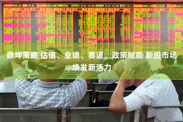 鼎坤策略 估值、业绩、赛道、政策赋能 新股市场焕发新活力